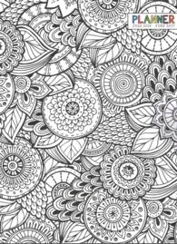 Color Me Monthly 2017 Academic Planner （EGMT）