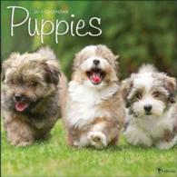 Puppies 2017 Calendar （WAL）