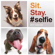 Sit Stay Selfie 2017 Calendar （WAL）