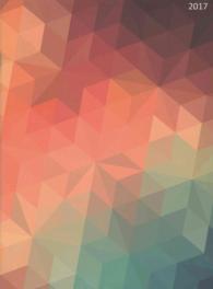 Geo Pattern 2017 Planner (Simplicity Planner) （EGMT）