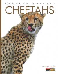 Cheetahs (Amazing Animals)