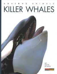 Killer Whales (Amazing Animals)