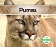 Pumas (Grandes Felinos / Big Cats)