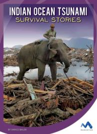 Indian Ocean Tsunami Survival Stories (Natural Disaster True Survival Stories)