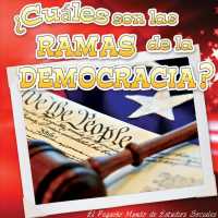 Cuales son las ramas de la democracia? / What are the Branches of Democracy? (El pequeo mundo de estudios sociales (Little World Social Studies))