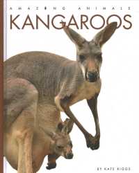 Kangaroos (Amazing Animals)