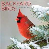 Backyard Birds 2020 Calendar （WAL）