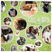 Cat-a-Day 2020 Calendar （WAL）