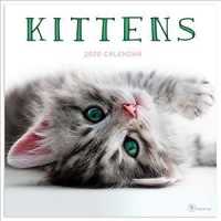 Kittens 2020 Calendar （WAL）