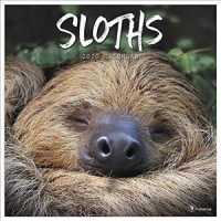 Sloths 2020 Calendar （WAL）