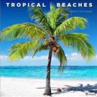 Tropical Beaches 2020 Calendar （WAL）