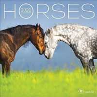 Horses 2020 Calendar （MIN WAL）