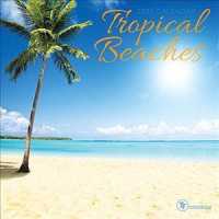 Tropical Beaches 2020 Calendar （MIN WAL）