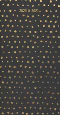 Golden Dots 2-Year 2020-2021 Pocket Planner （EGMT）