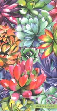 Succulents 2-Year Pocket Planner 2020-2021 Pocket Planner （EGMT）