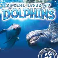 Social Lives of Dolphins (Animal Behaviors)