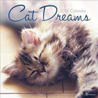 Cat Dreams 2018 Calendar （WAL）