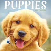 Puppies 2018 Calendar （WAL）