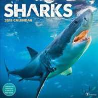 Sharks 2018 Calendar （WAL）