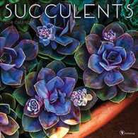 Succulents 2018 Calendar （WAL）