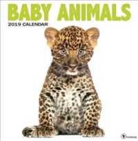 Baby Animals 2019 Calendar （WAL）