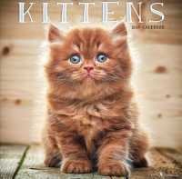 Kittens 2019 Calendar （WAL）