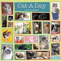 Cat-a-day 2019 Calendar （WAL）