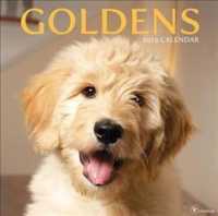 Goldens 2019 Calendar （WAL）