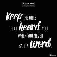 Carpe Diem 2019 Calendar （WAL）