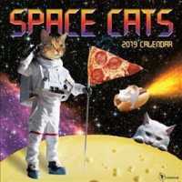 Space Cats 2019 Calendar （WAL）