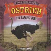 Ostrich: the Largest Bird (Animal Record Breakers) （Library Binding）