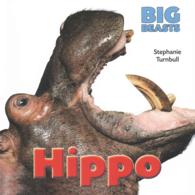 Hippo (Big Beasts) （Reprint）