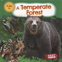 A Temperate Forest (A Day in)
