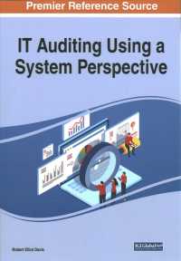 IT Auditing Using a System Perspective