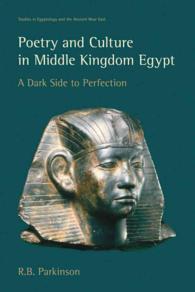 Poetry and Culture in Middle Kingdom Egypt : A Dark Side to Perfection (Studies in Egyptology & the Ancient Near East)
