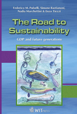 The Road to Sustainability : GDP and future generations (Sustainable World)