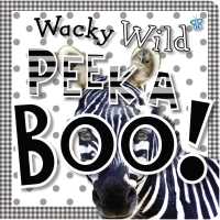 Wacky Wild Peek a Boo! (Busy Baby) （LTF BRDBK）