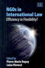 国際法におけるNGO<br>NGOs in International Law : Efficiency in Flexibility?