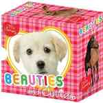 Beauties and Cuties (Little Library) （BRDBK）