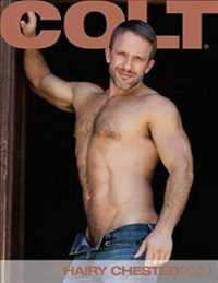 Hairy Chested Men 2020 Calendar （WAL）