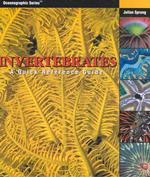 Invertebrates : A Quick Reference Guide (Oceanographic Series)