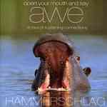 Open Your Mouth and Say Awe : Stories of Sustaining Connections （DVD）