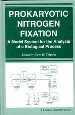 Prokaryotic Nitrogen Fixation : A Model System for the Analysis of a Biological Process -- Hardback
