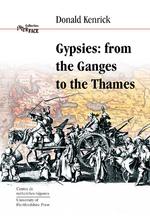 Gypsies : From the Ganges to the Thames (Interface Collection) （2 Revised）
