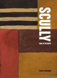 Sean Scully : Light of the South