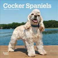 Cocker Spaniels 2019 Calendar （16M MIN WA）