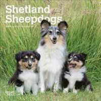 Shetland Sheepdogs 2019 Calendar （16M MIN WA）