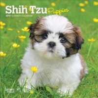 Shih Tzu Puppies 2019 Calendar （16M MIN WA）