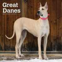 Great Danes 2019 Calendar （16M WAL）