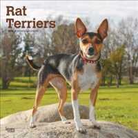 Rat Terriers 2019 Calendar （16M WAL MU）